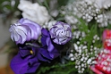 virag_7